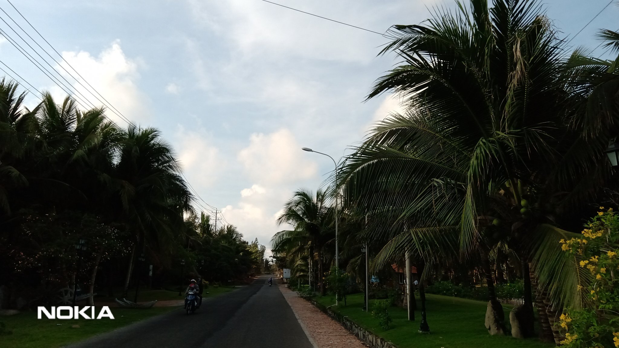 IMG_20190309_072419.jpg