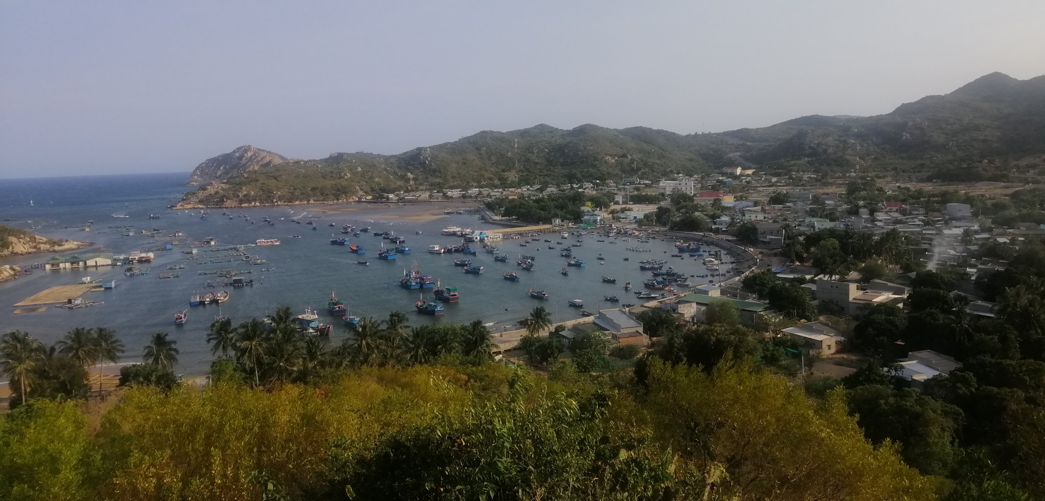IMG_20190506_163206.jpg