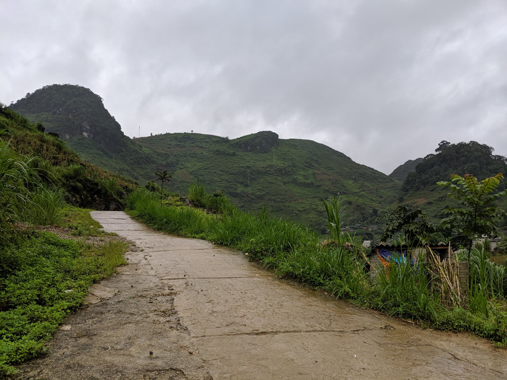 IMG_20190714_155547.jpg