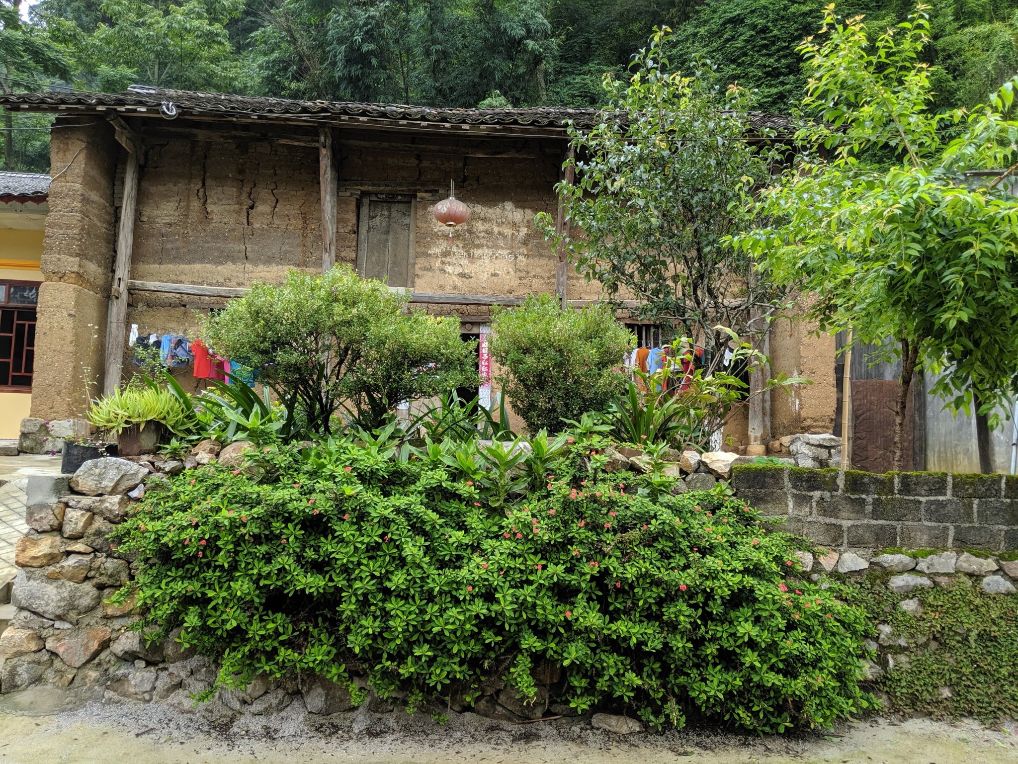 IMG_20190716_095913.jpg