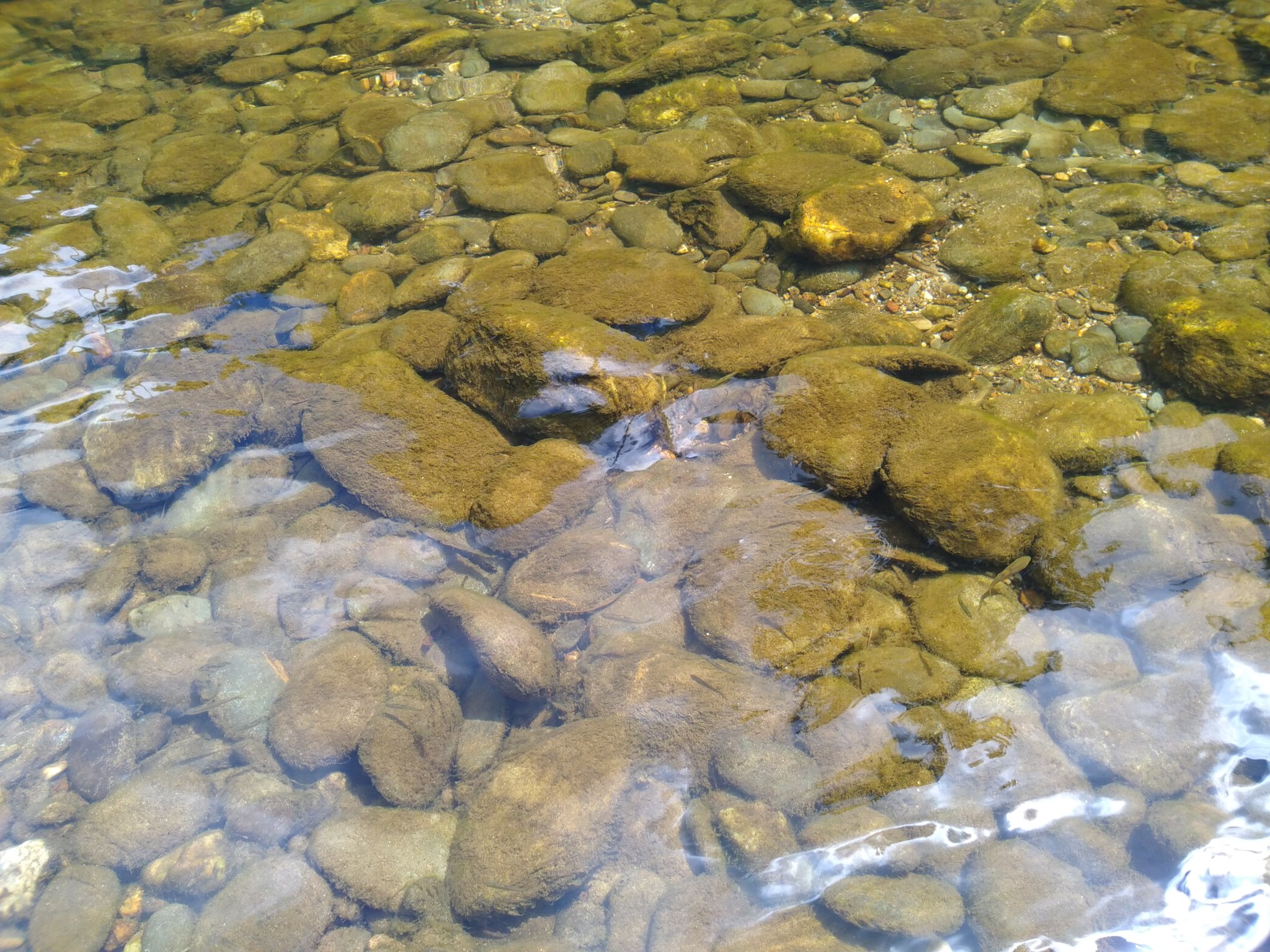IMG_20190727_140822_060.jpg