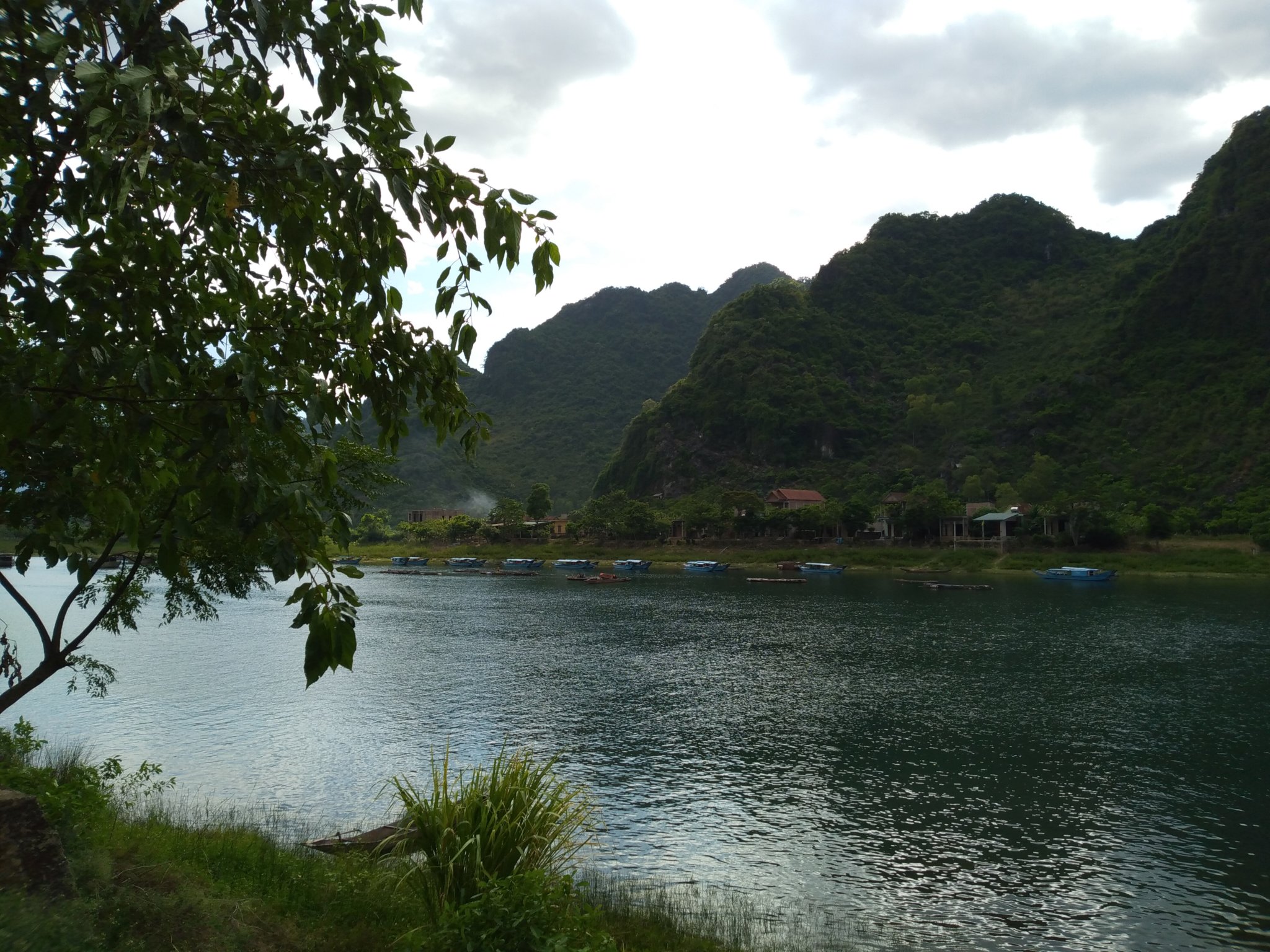 IMG_20190728_155041_775.jpg