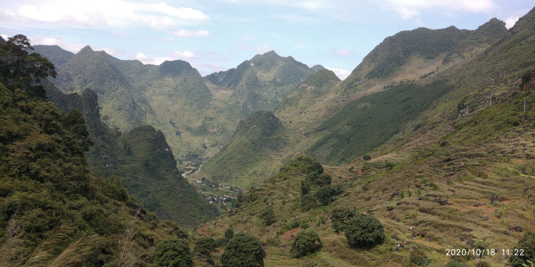 IMG_20201018_112238.jpg