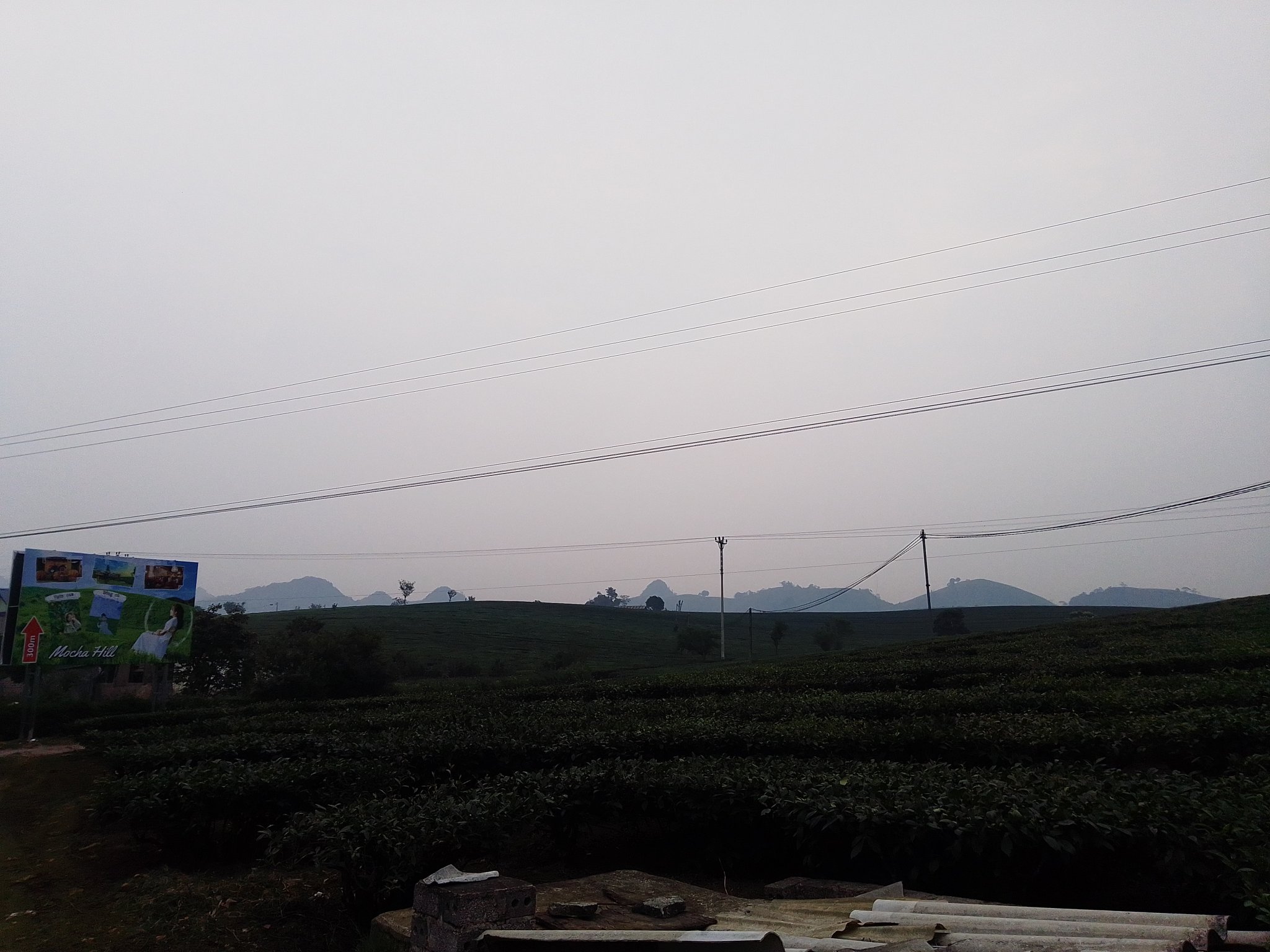 IMG_20240429_080152.jpg