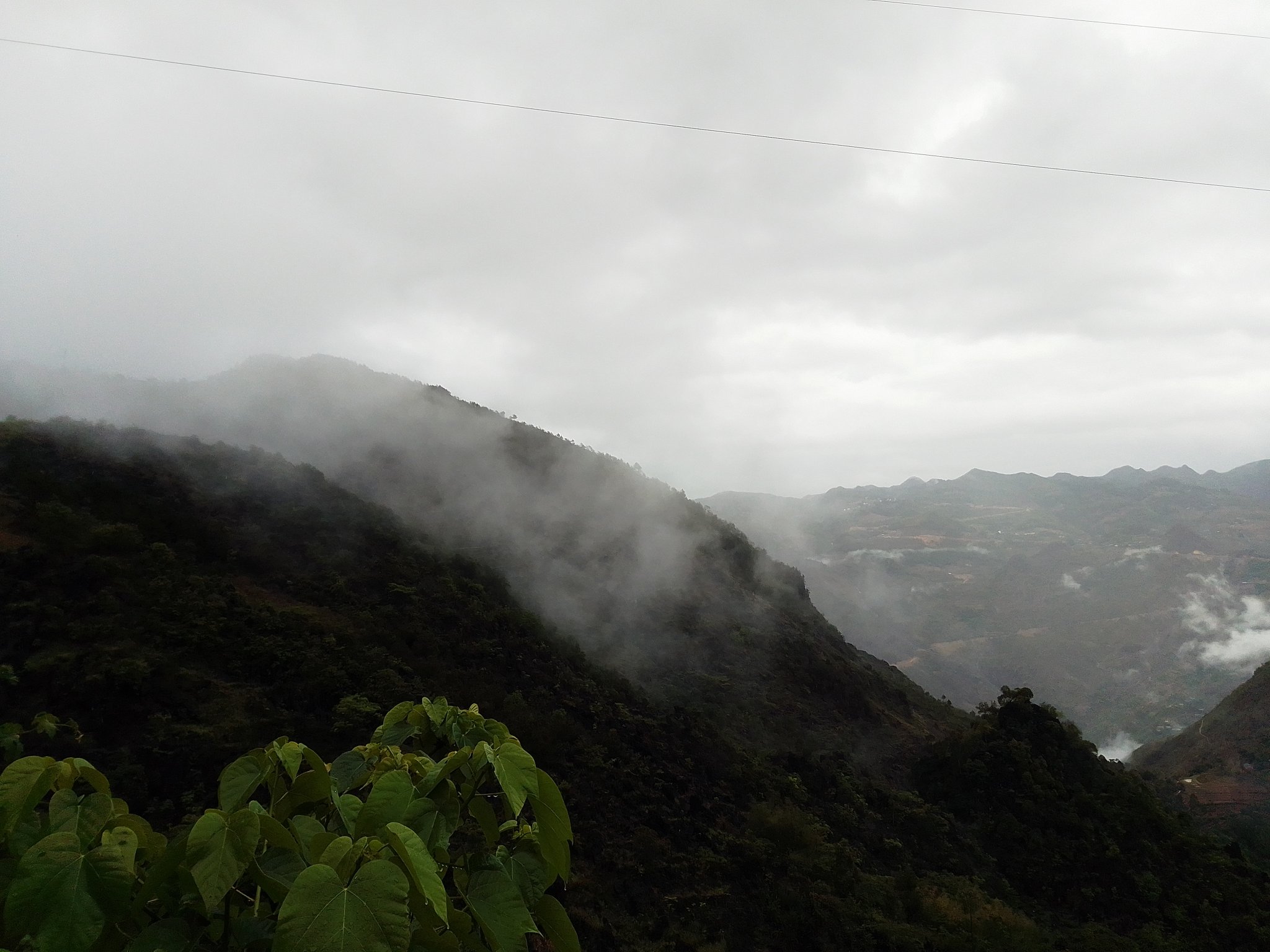 IMG_20240506_100120.jpg