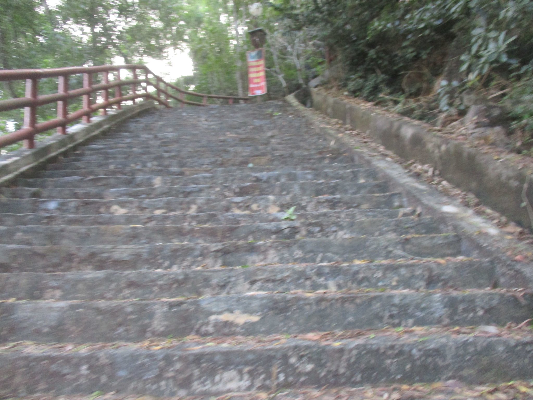 IMG_2387a.JPG