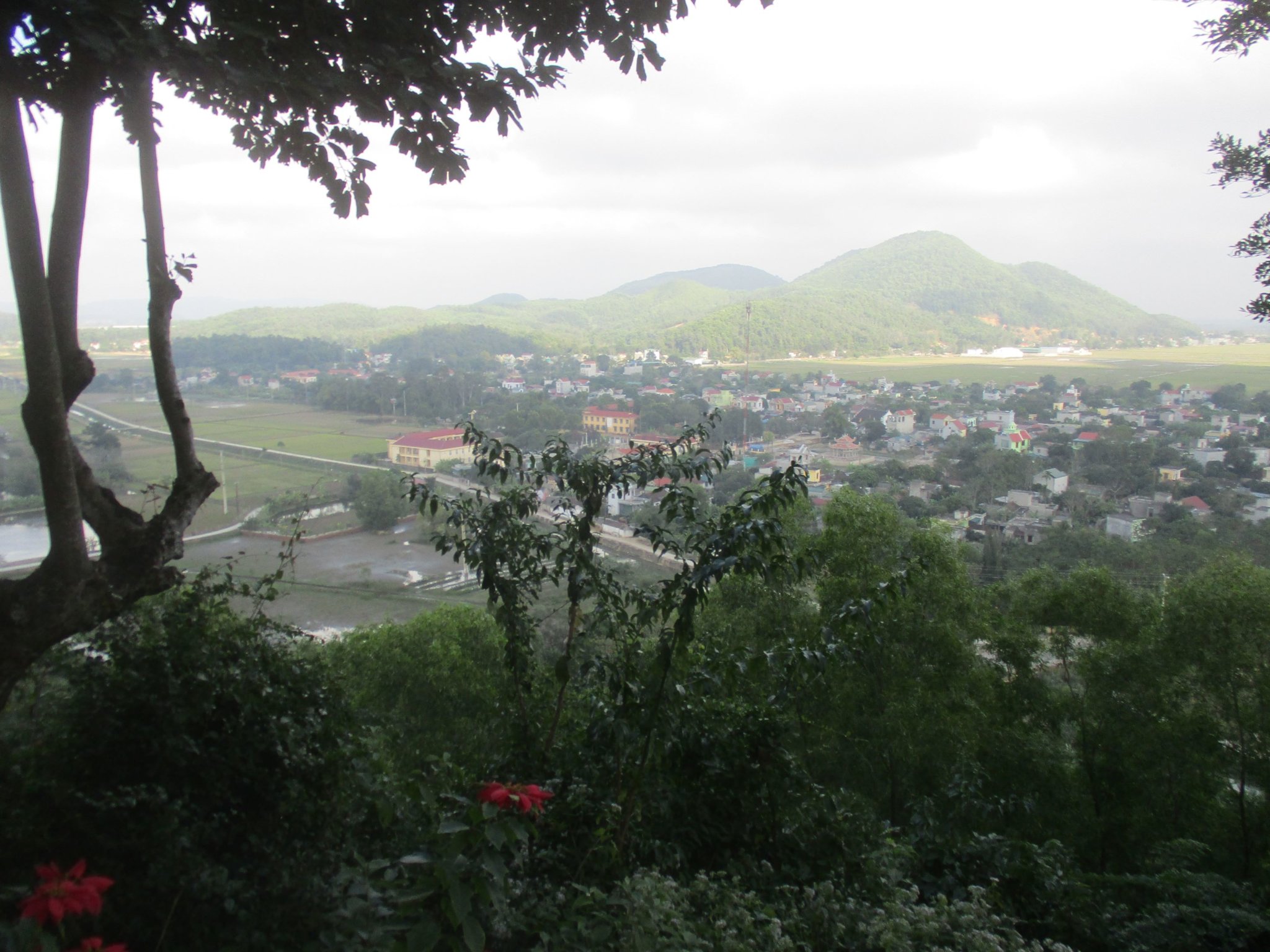 IMG_2393a.JPG