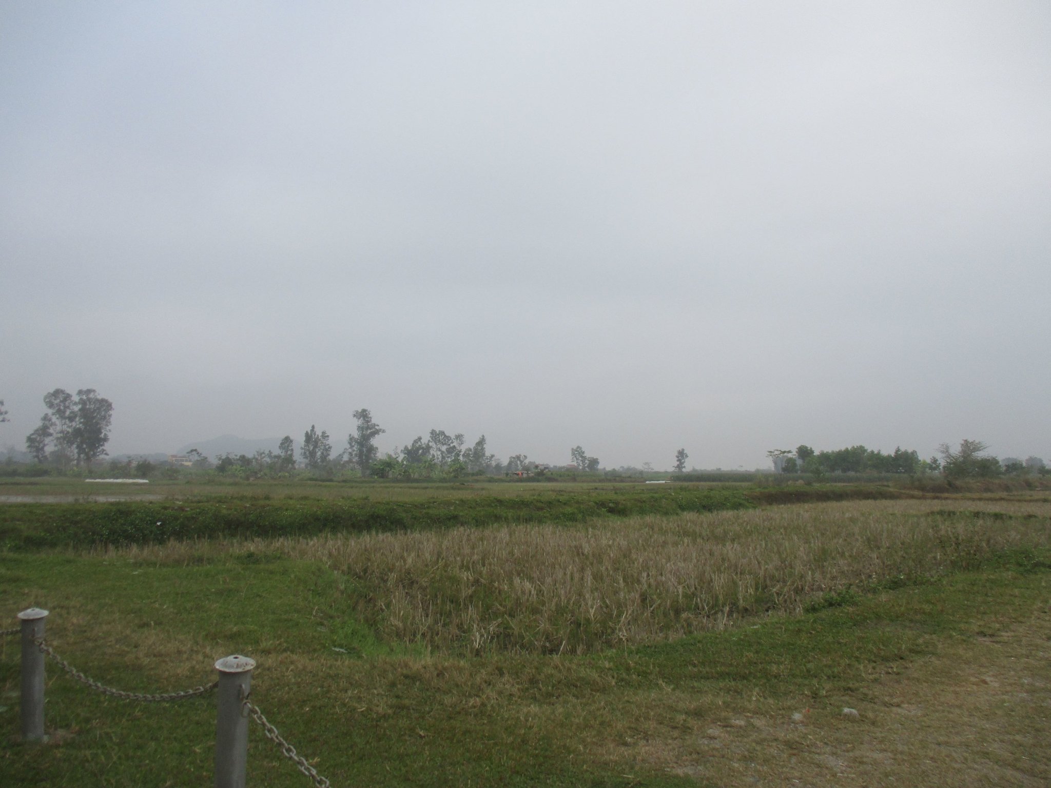 IMG_2582a.JPG
