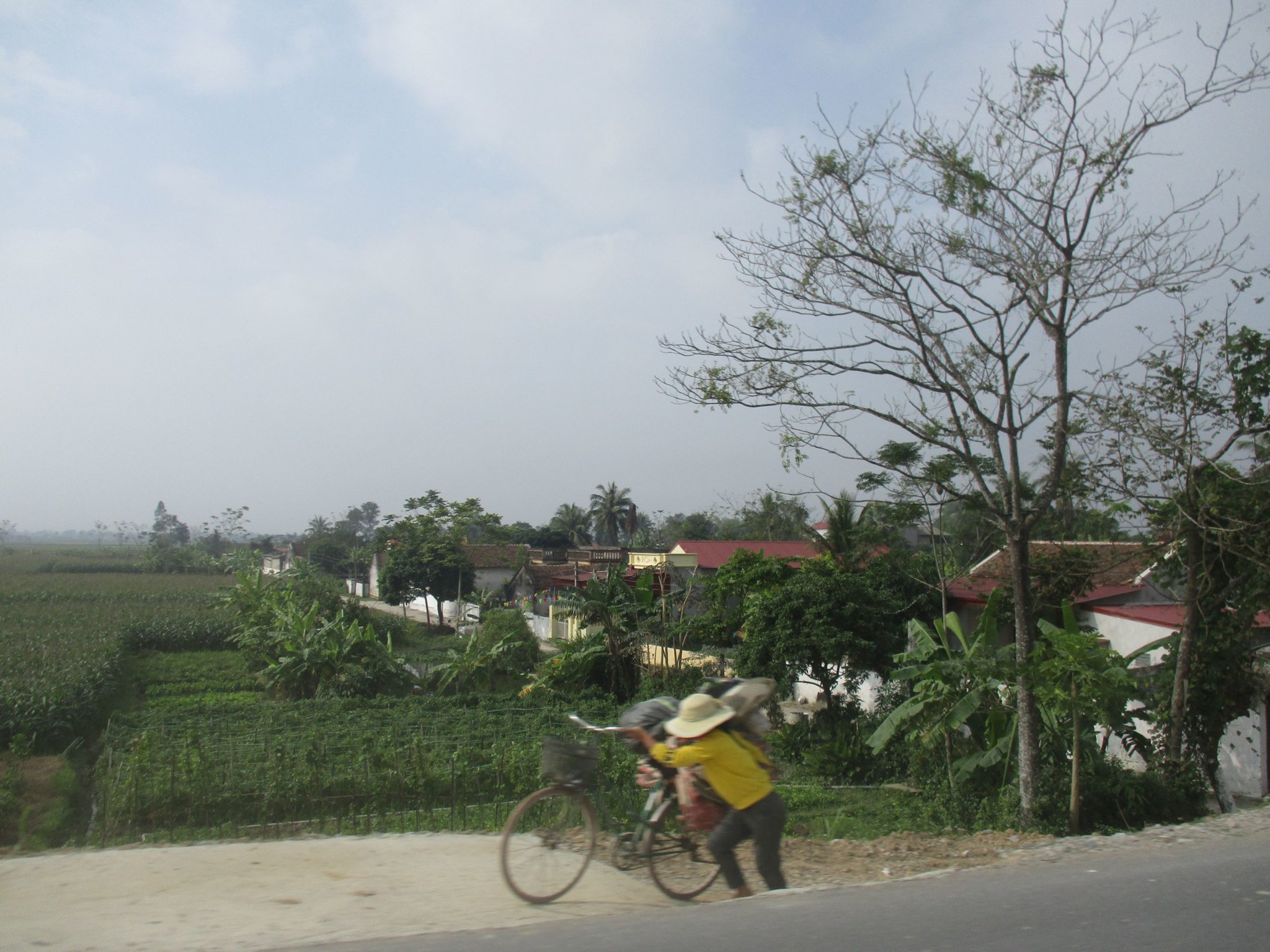 IMG_2643a.JPG