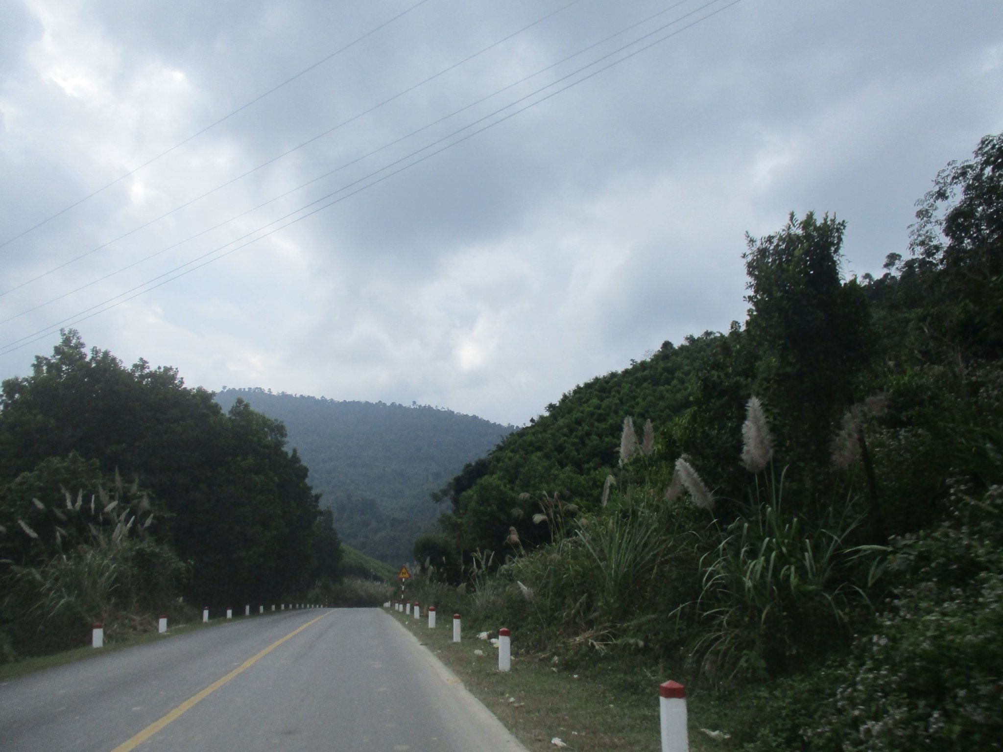 IMG_2820a.JPG