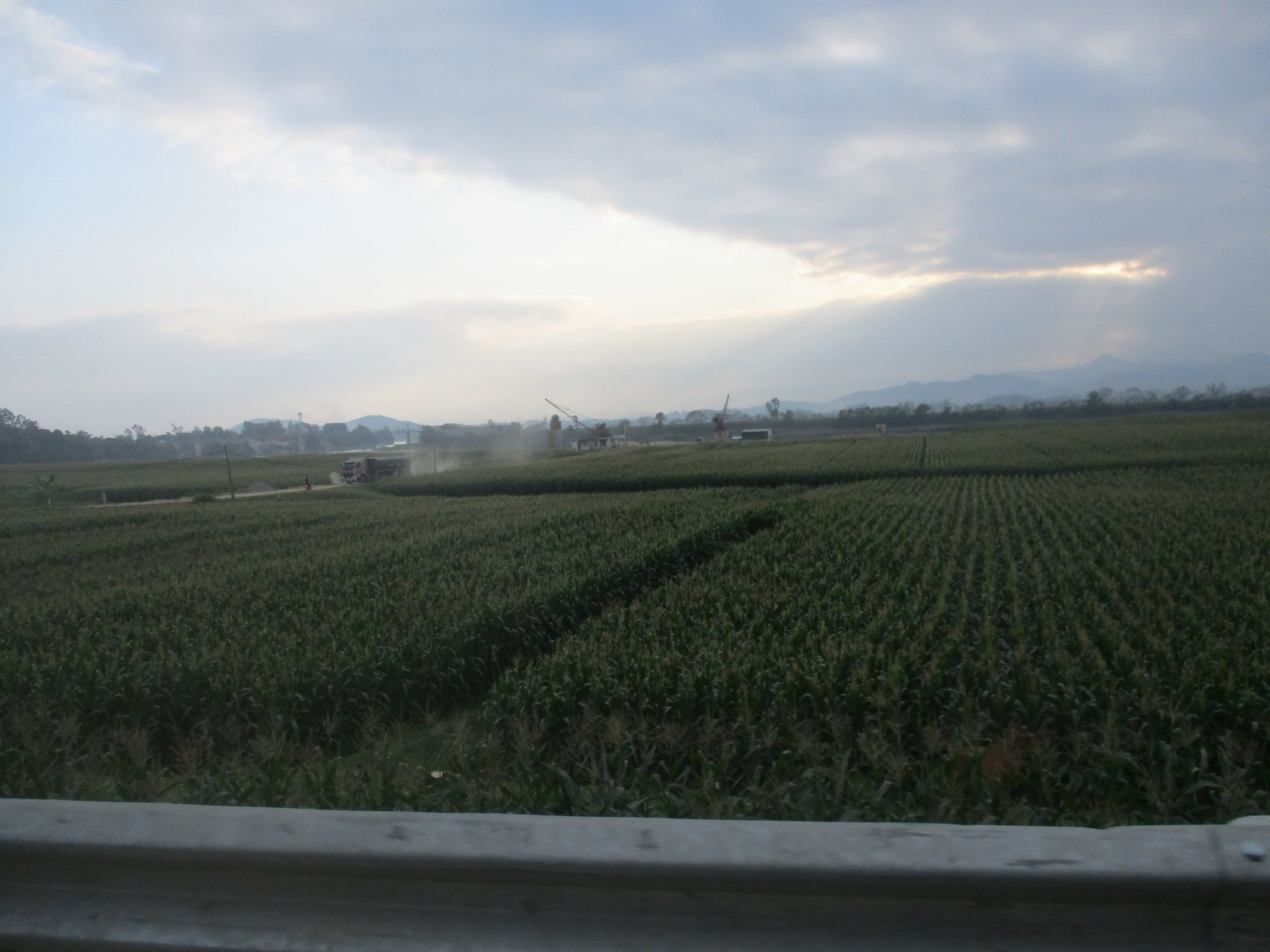 IMG_2961a.JPG