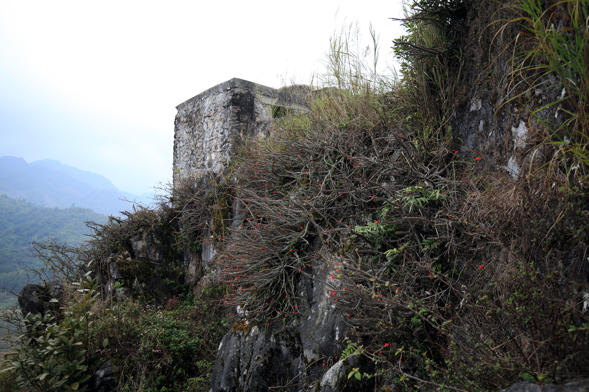 IMG_3576.JPG