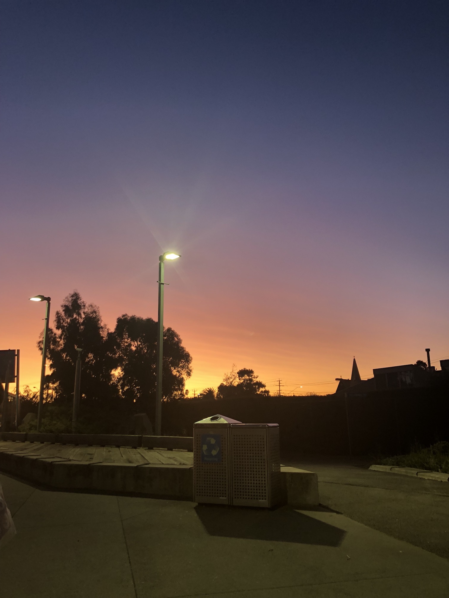 IMG_3664.jpeg
