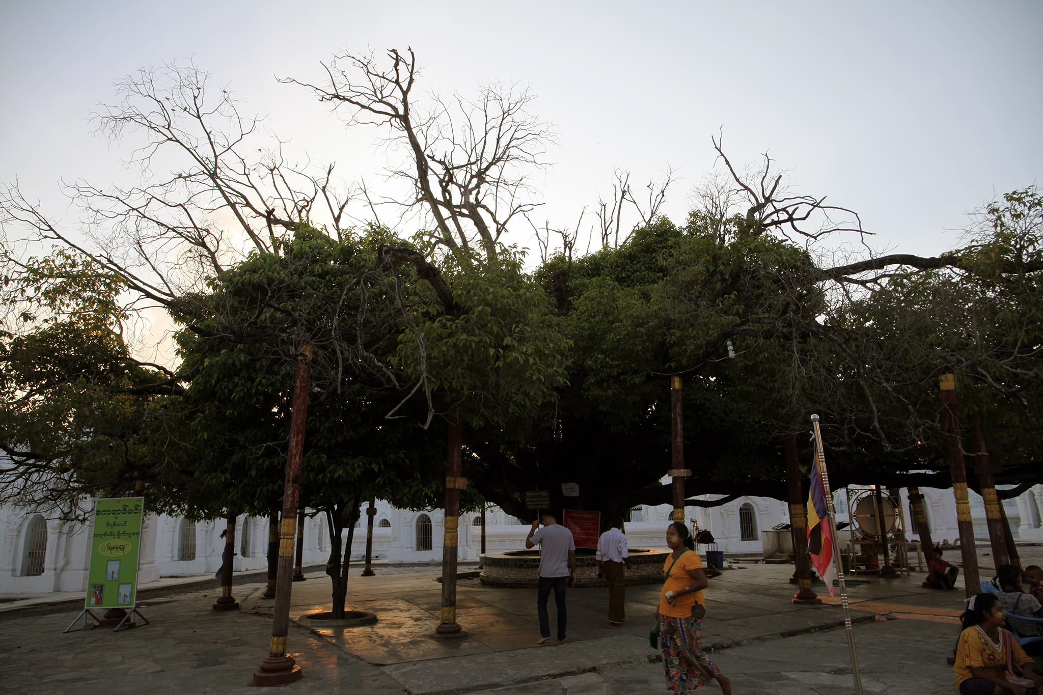 IMG_7246.jpg