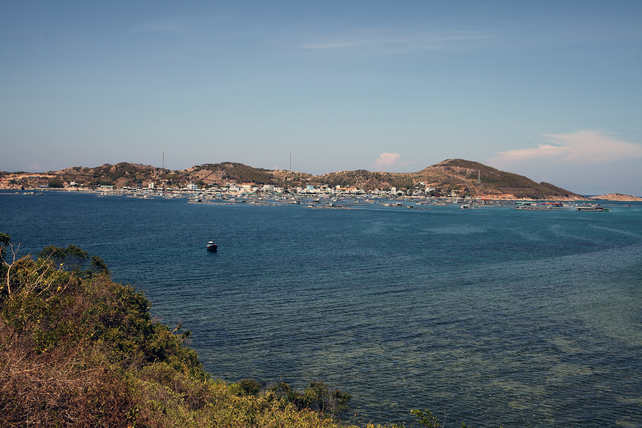 IMG_7456.jpg