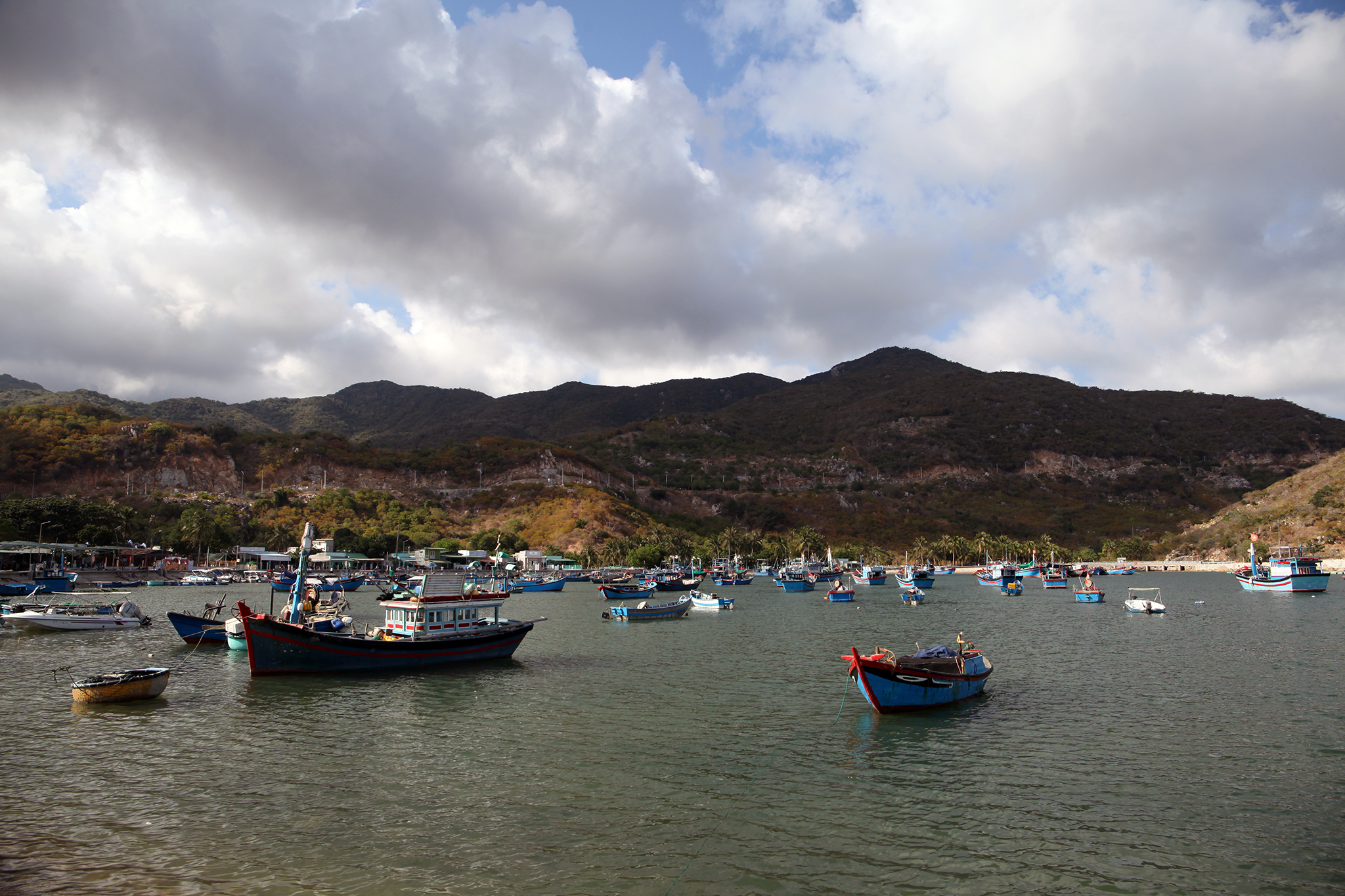 IMG_7460.jpg