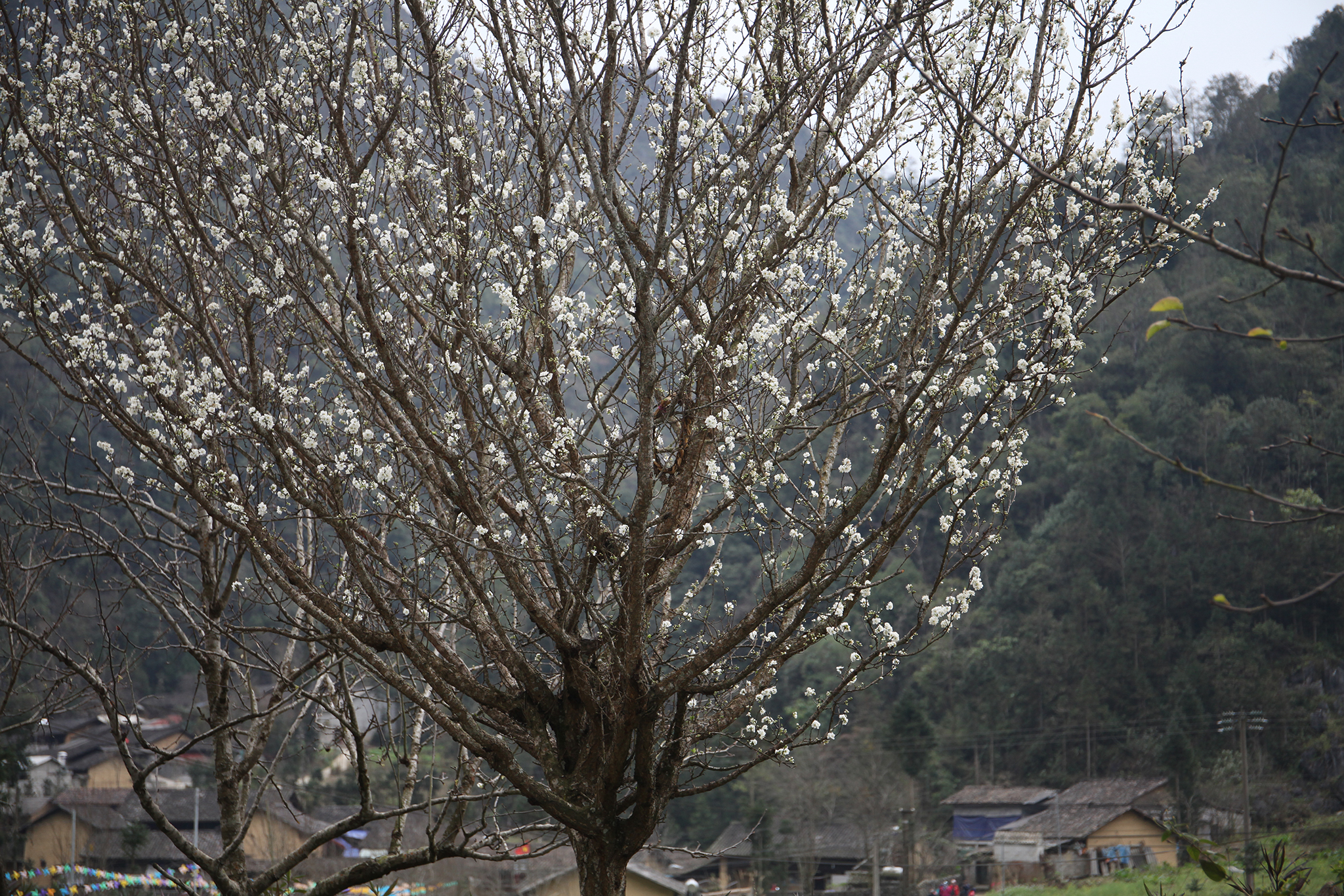 IMG_9971.jpg