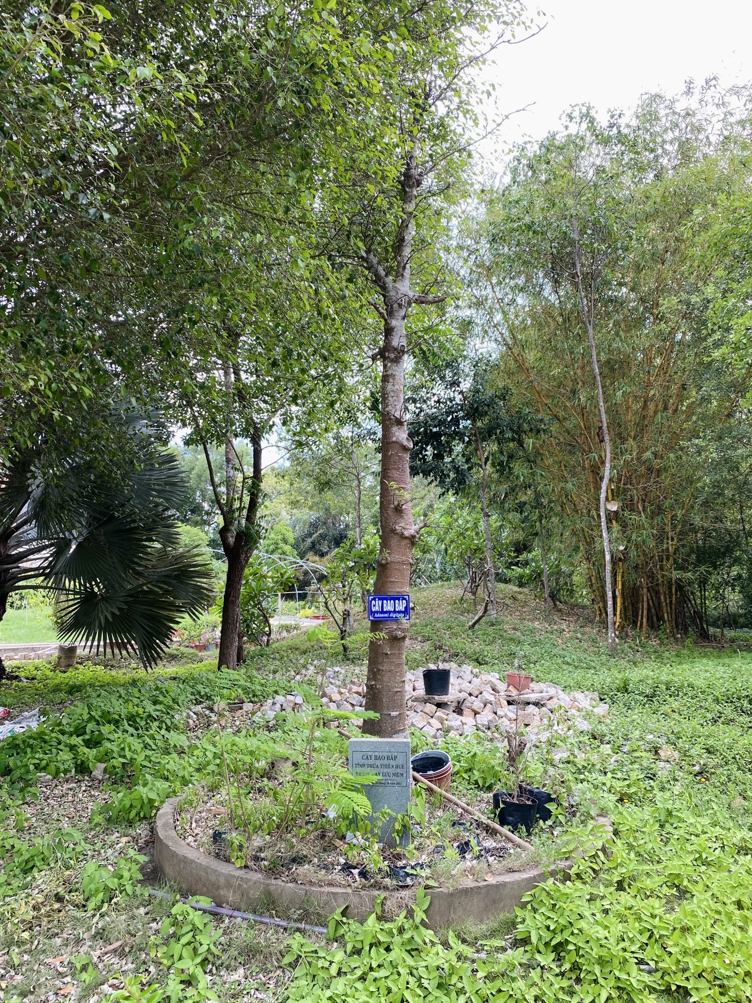 IMG_E8657.JPG