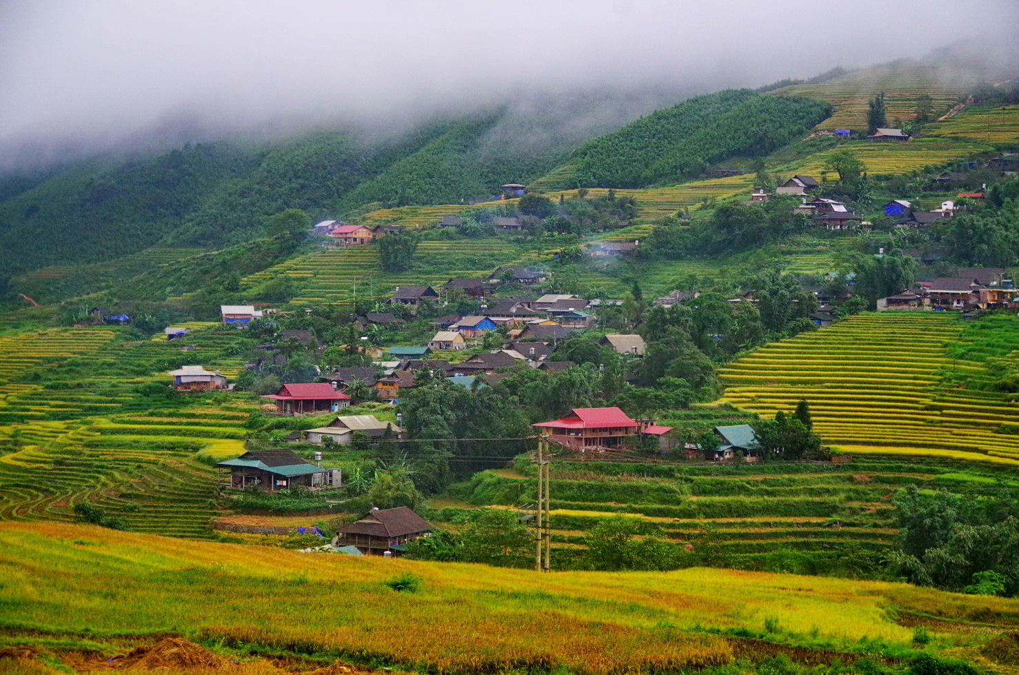 IMGP2010.JPG