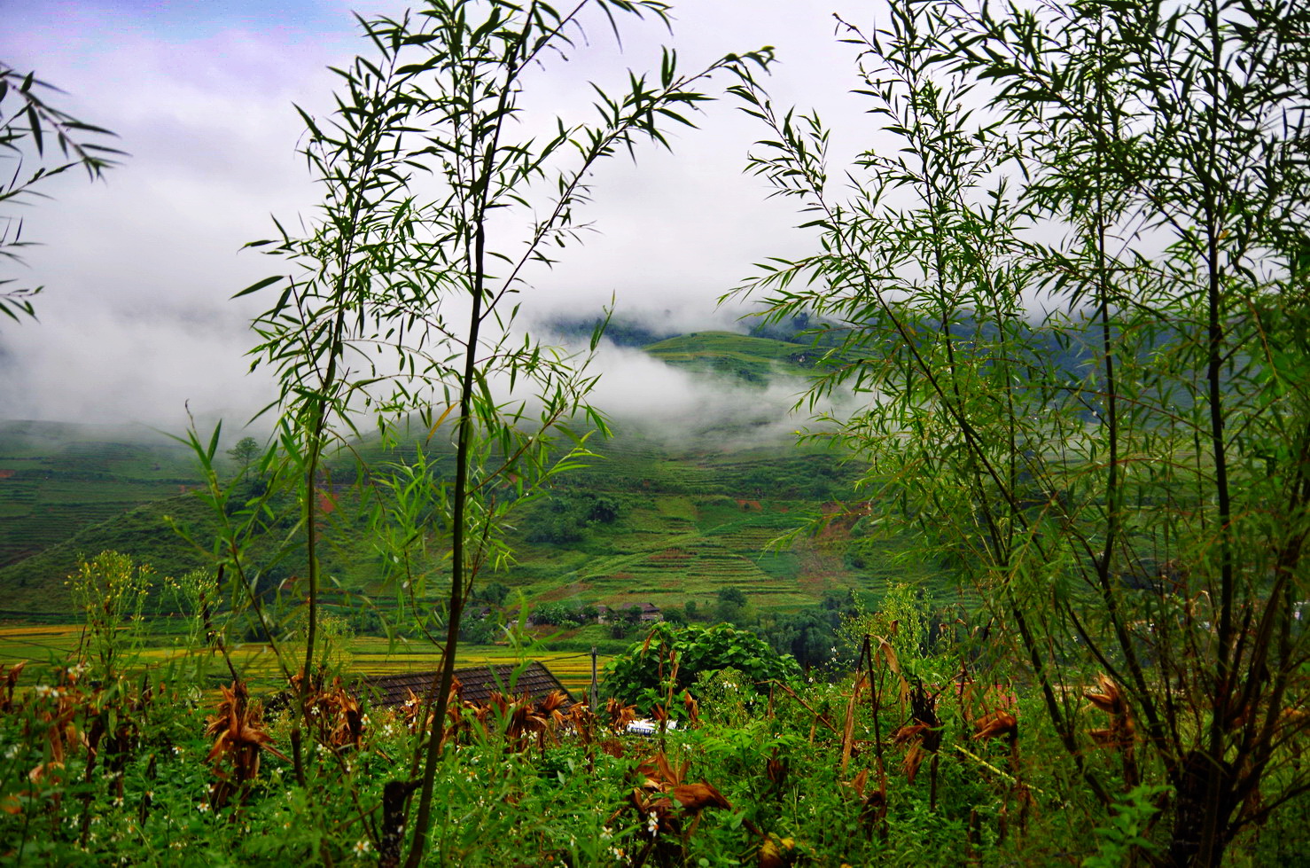 IMGP2085.JPG
