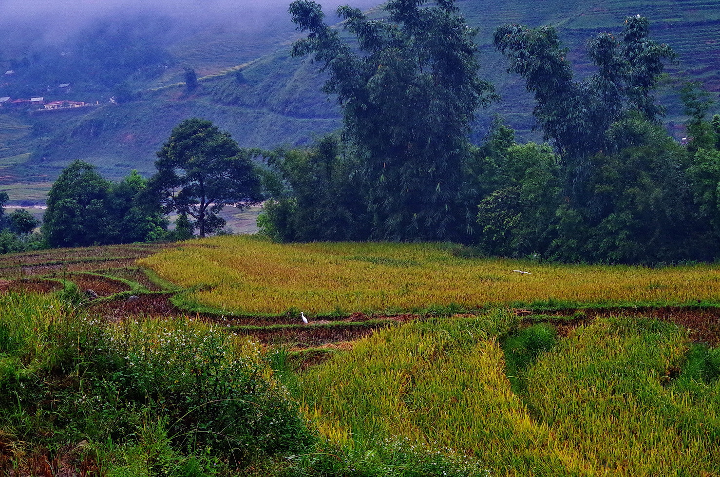 IMGP2118.JPG