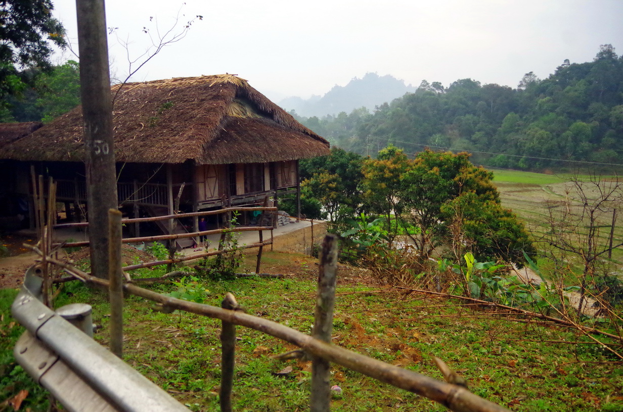 IMGP2135.JPG