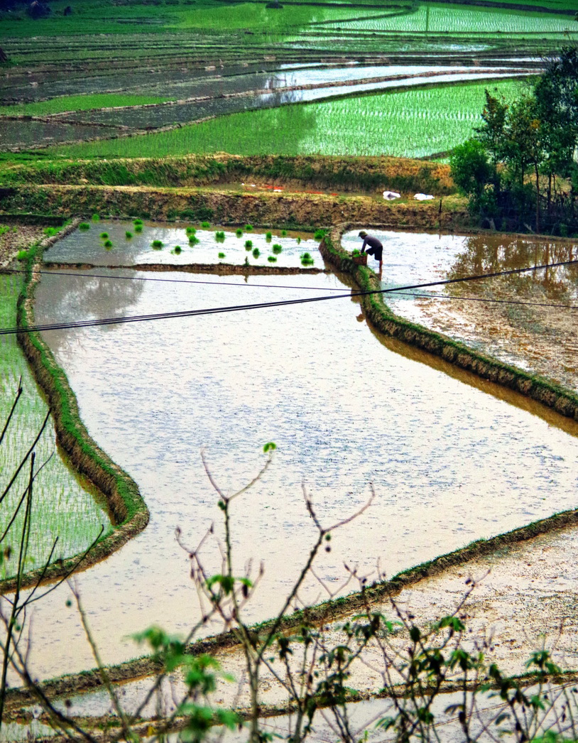 IMGP2158.JPG