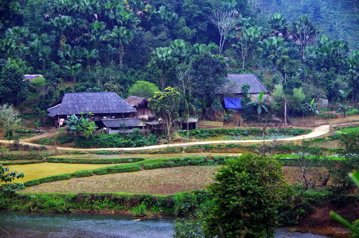 IMGP2178.JPG
