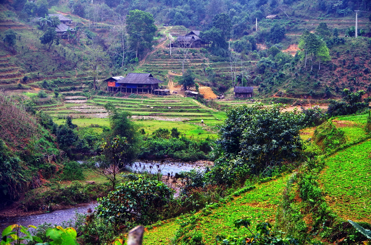 IMGP2196.JPG