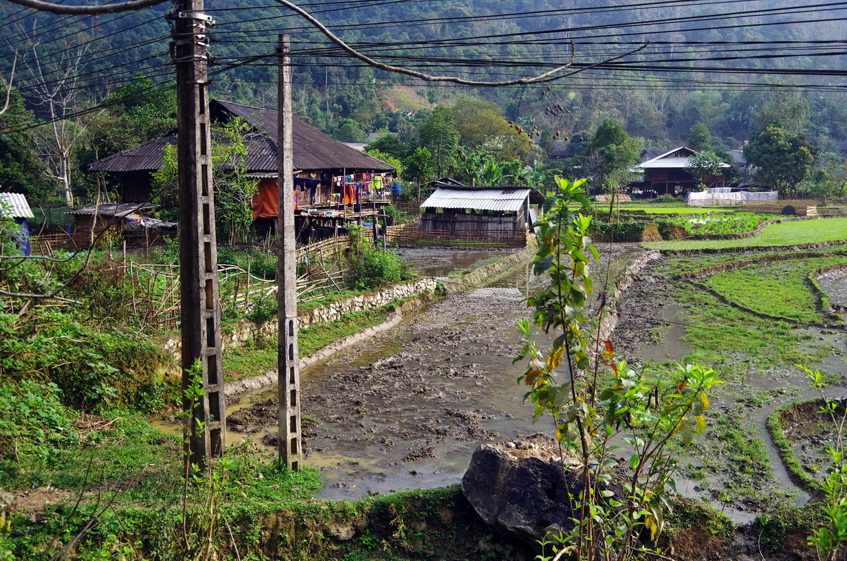 IMGP2224.JPG