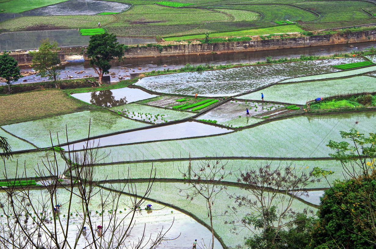 IMGP2234.JPG