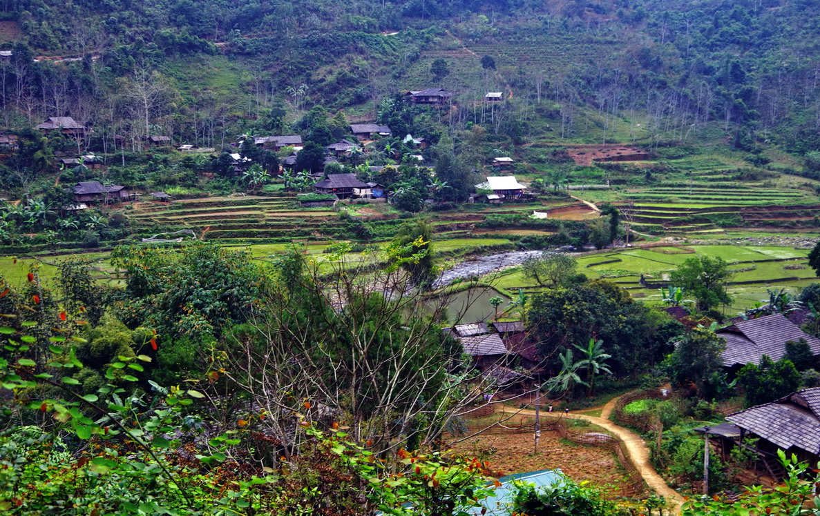 IMGP2237.JPG