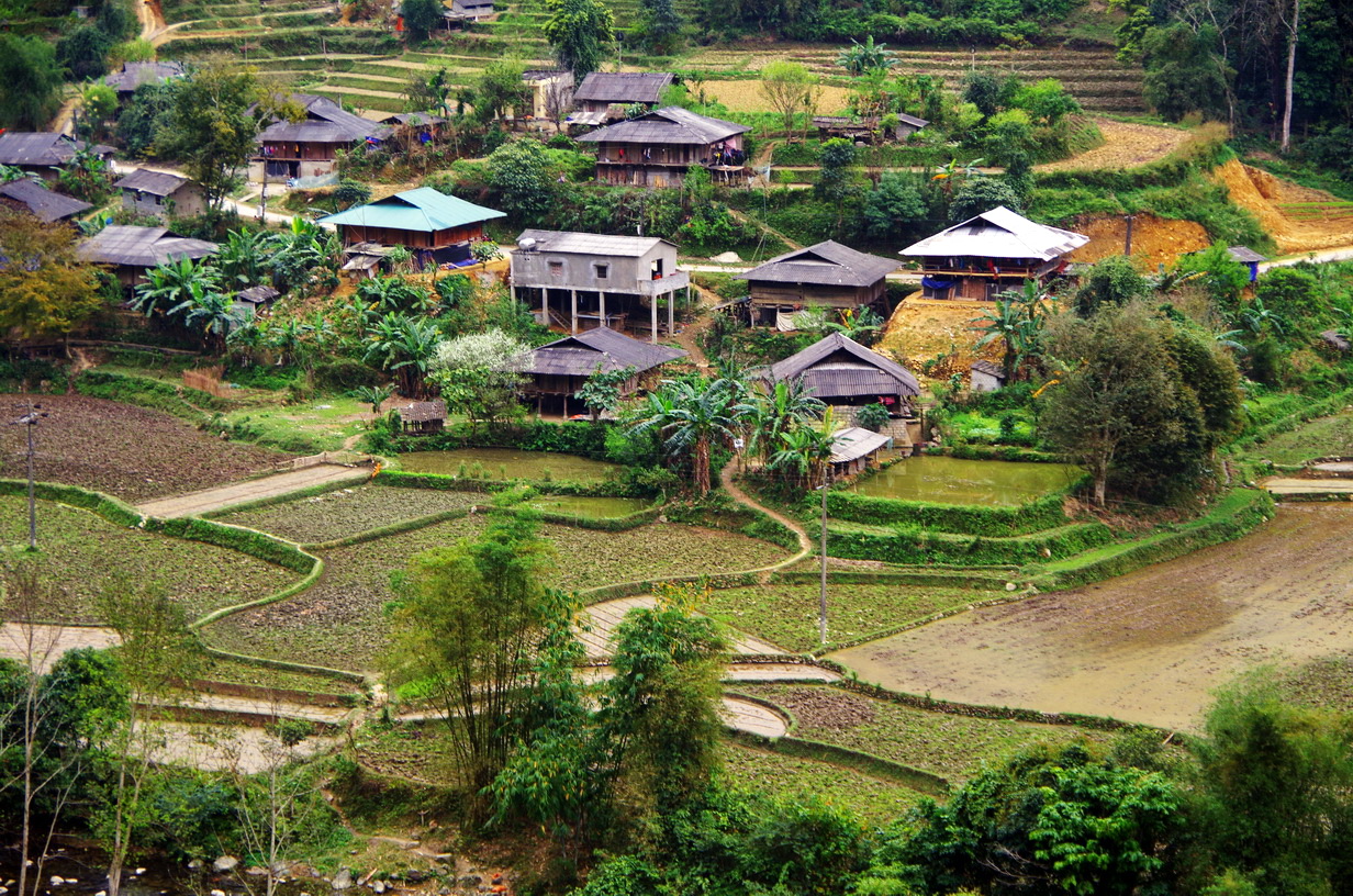IMGP2377.JPG