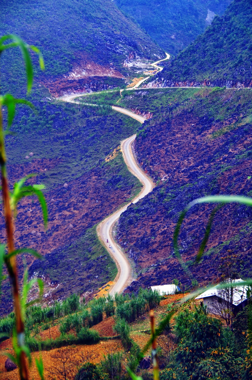 IMGP2454.JPG