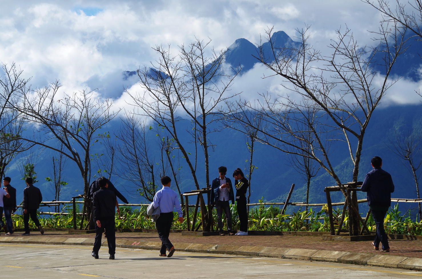 IMGP2482.JPG