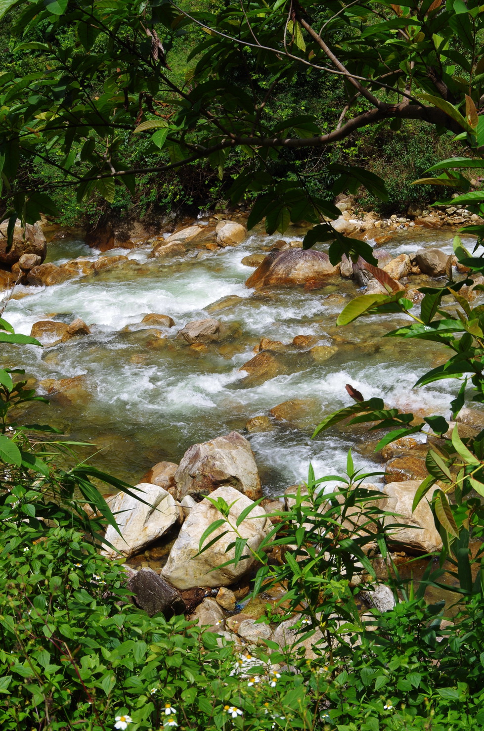 IMGP2795.JPG