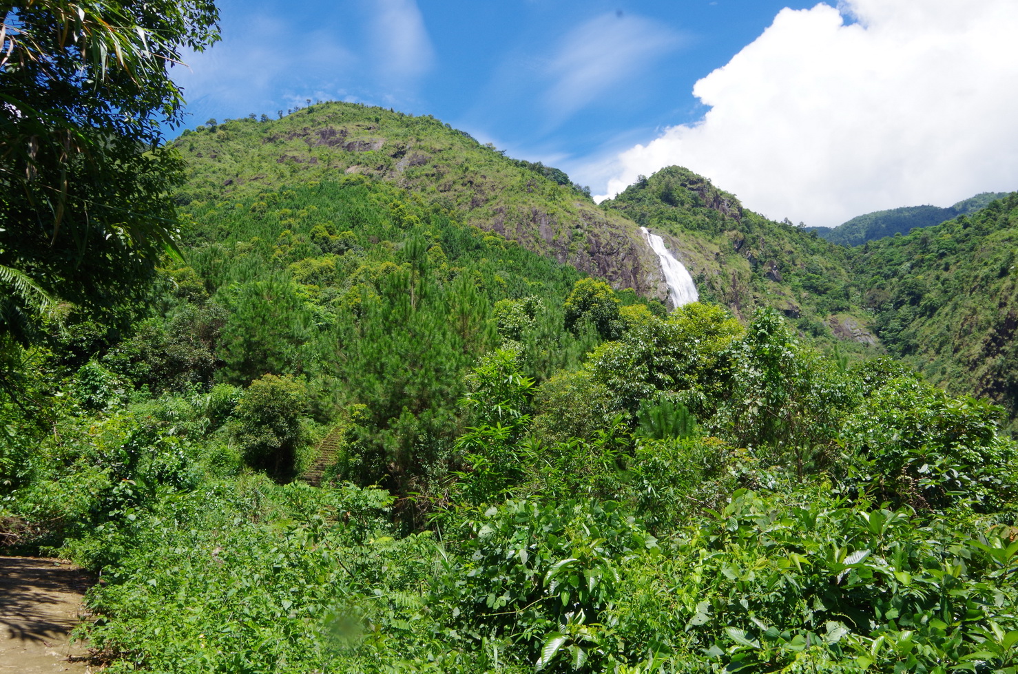 IMGP2845.JPG