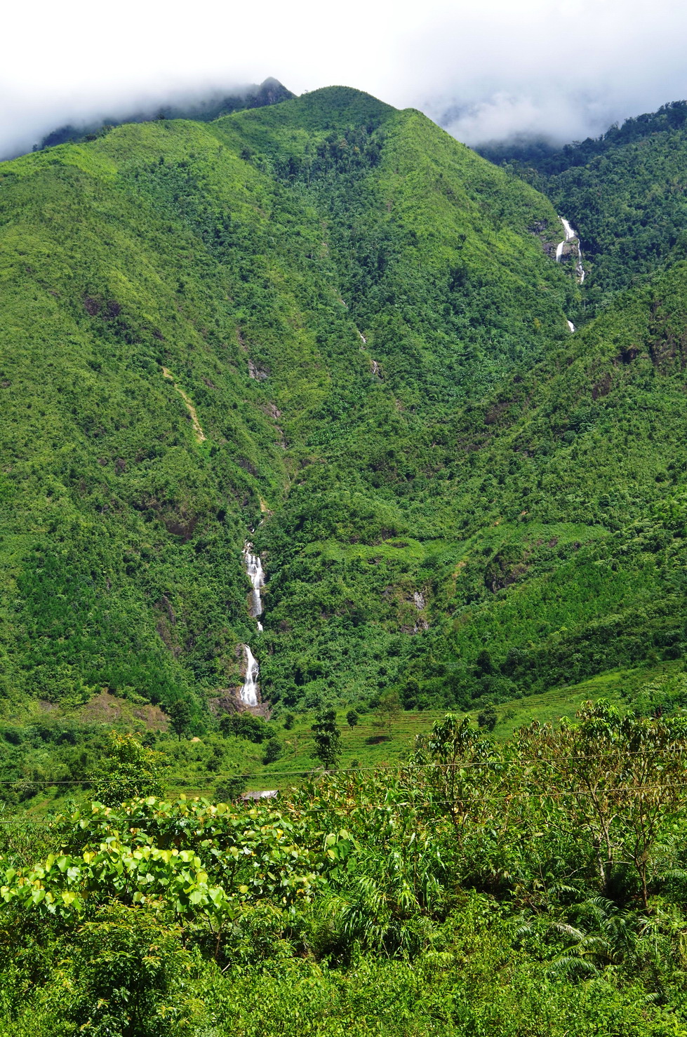 IMGP2898.JPG