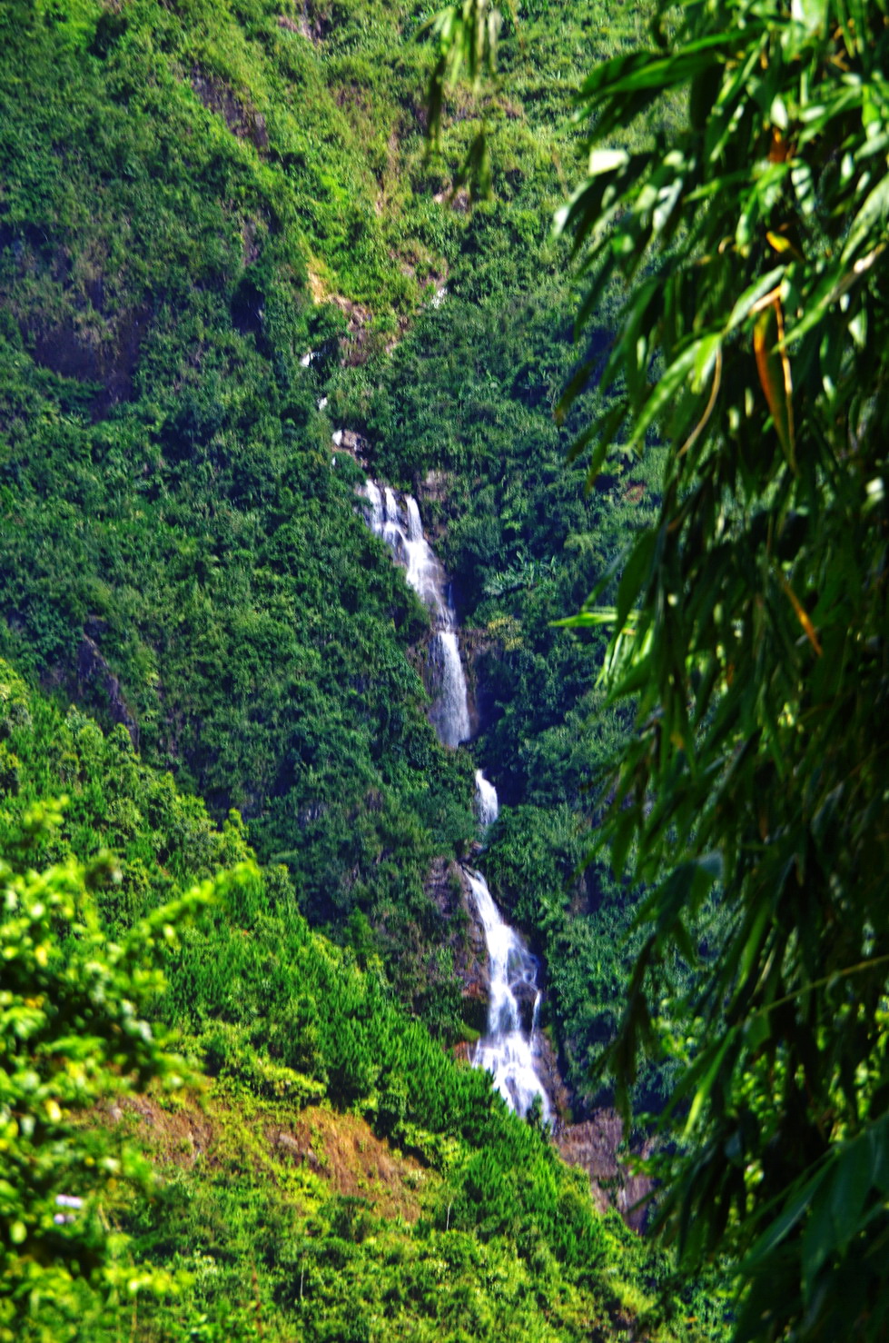 IMGP2902.JPG