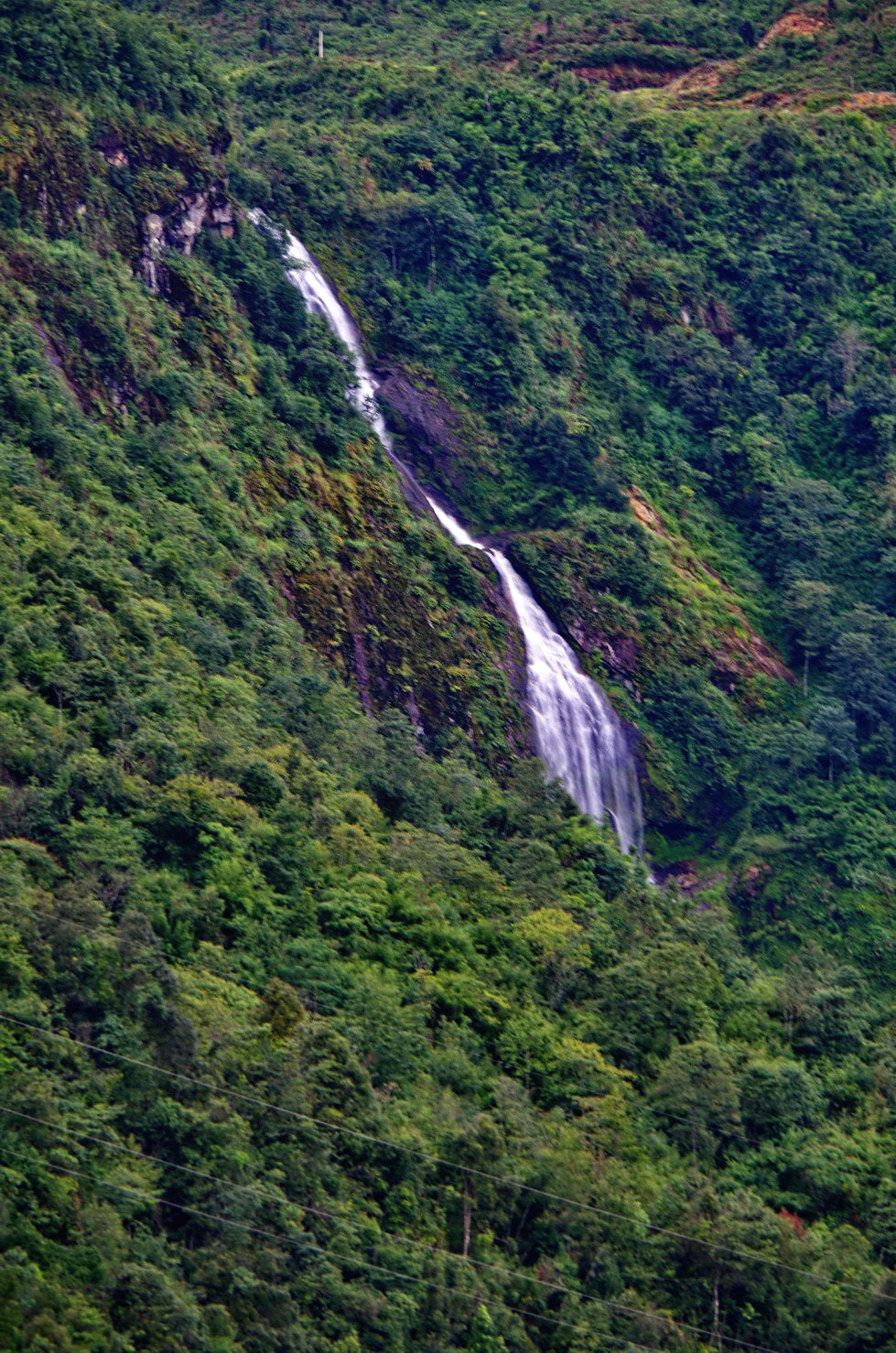IMGP2983.JPG