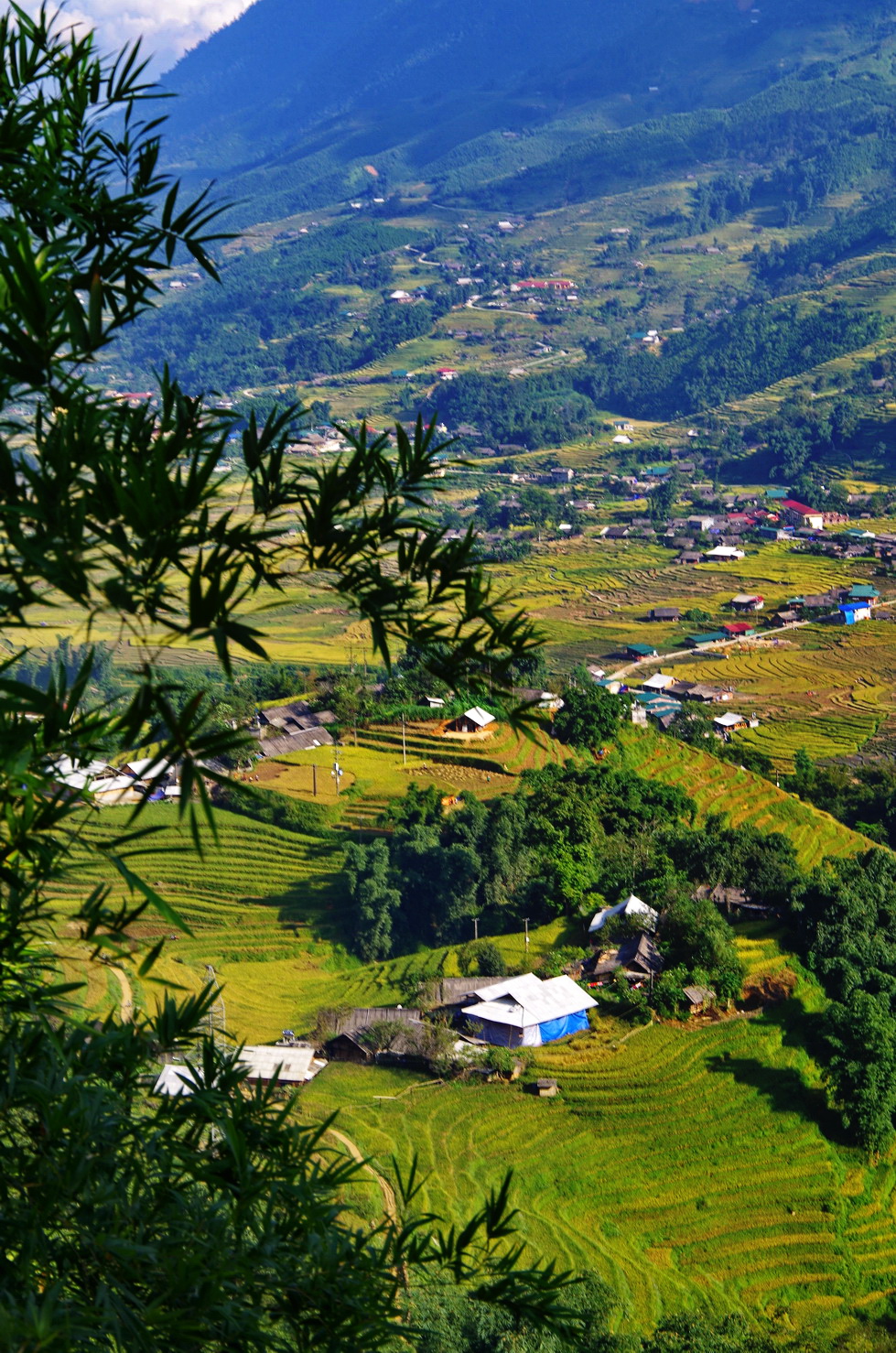 IMGP3003.JPG