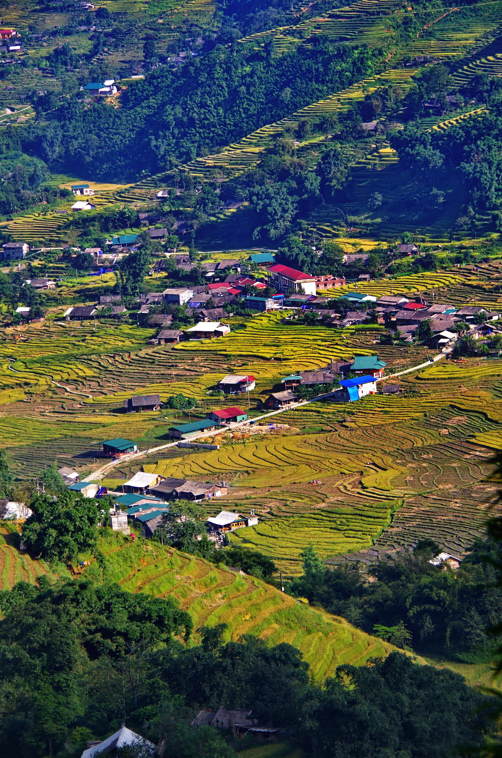 IMGP3004.JPG