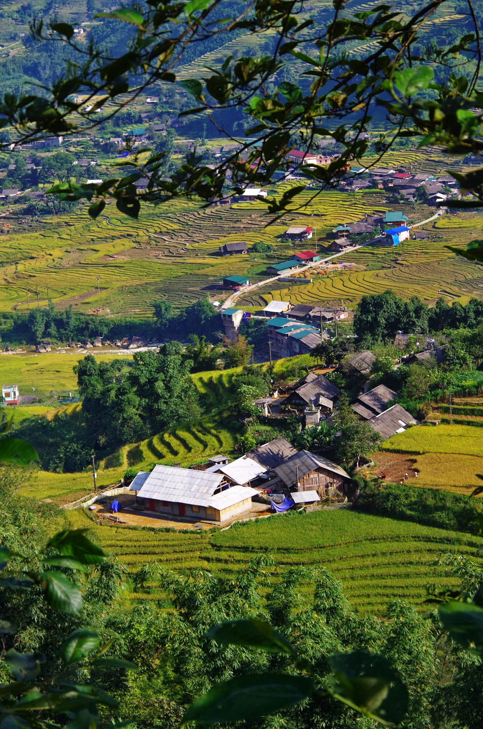 IMGP3009.JPG