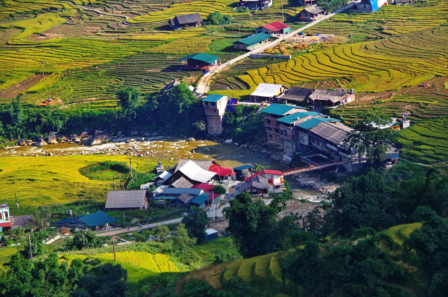 IMGP3015.JPG
