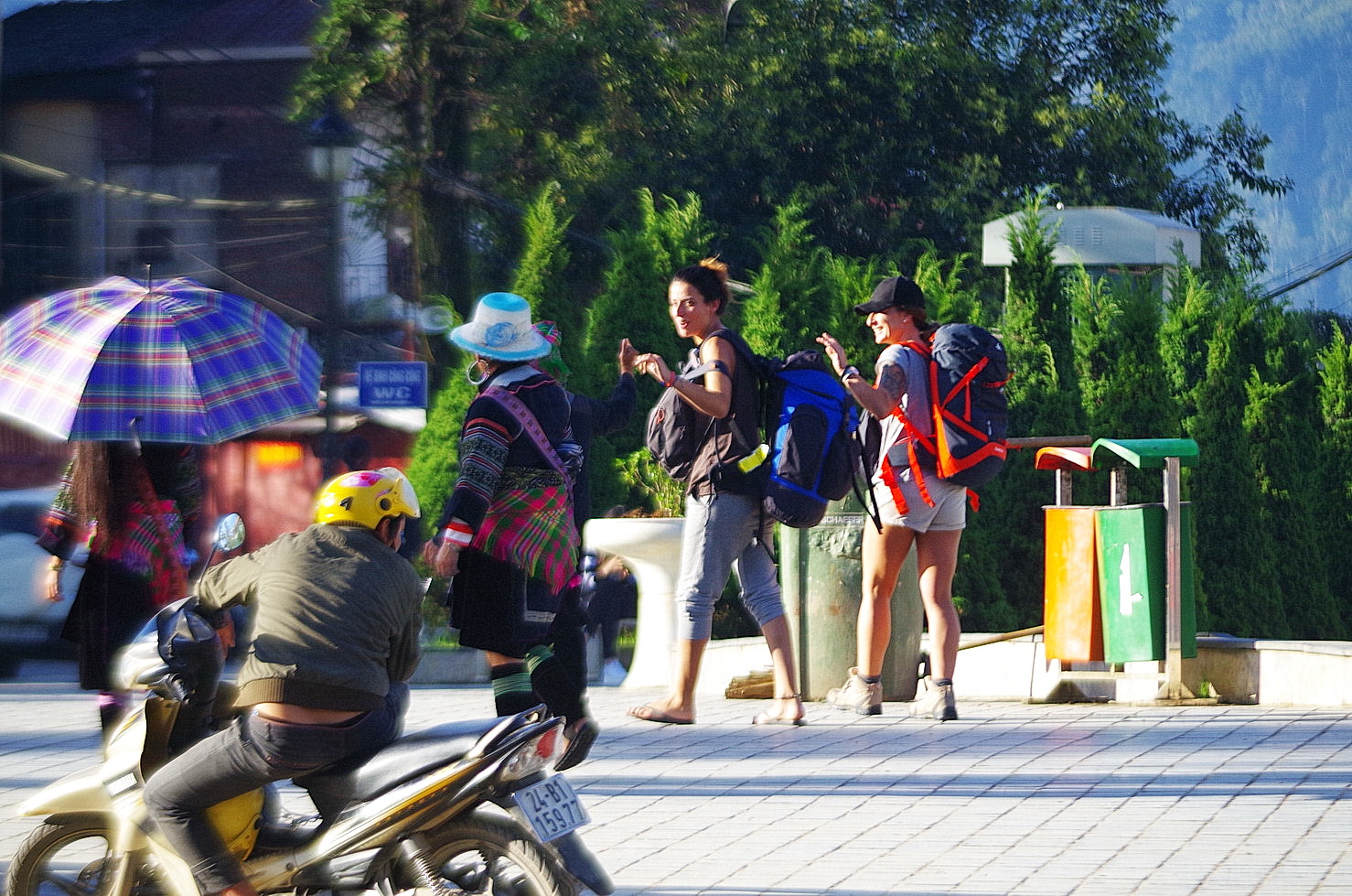 IMGP3237.JPG