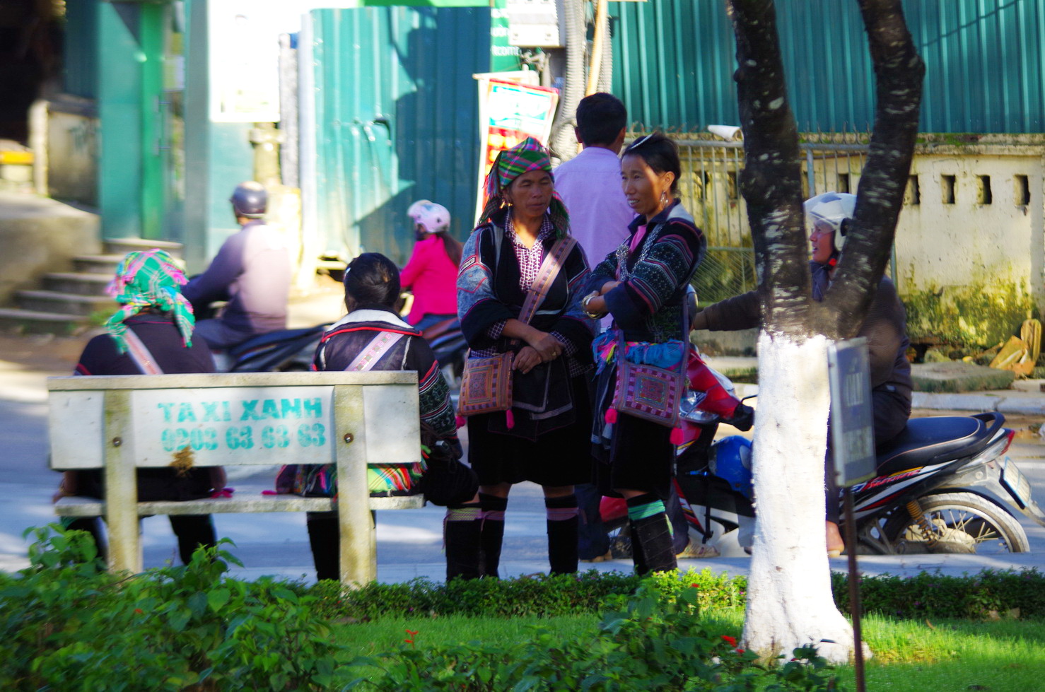 IMGP3241.JPG