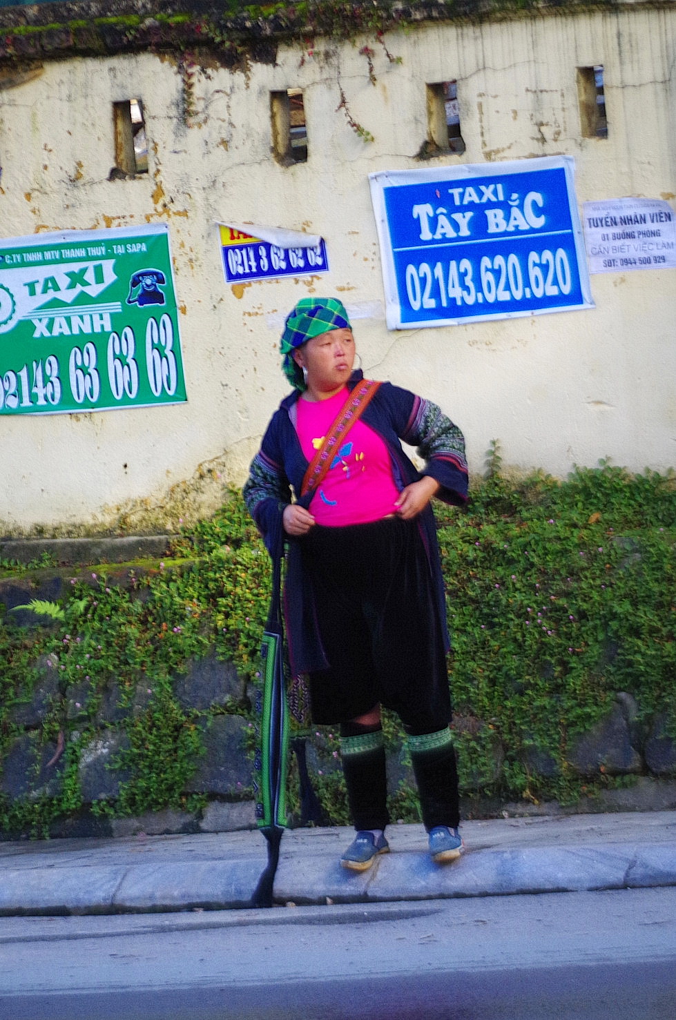 IMGP3255.JPG