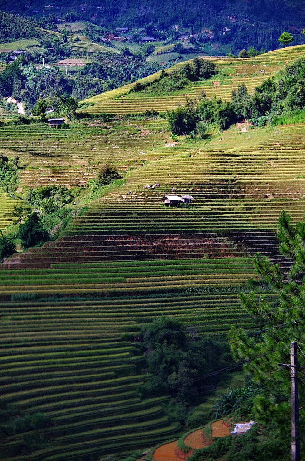 IMGP3334.JPG