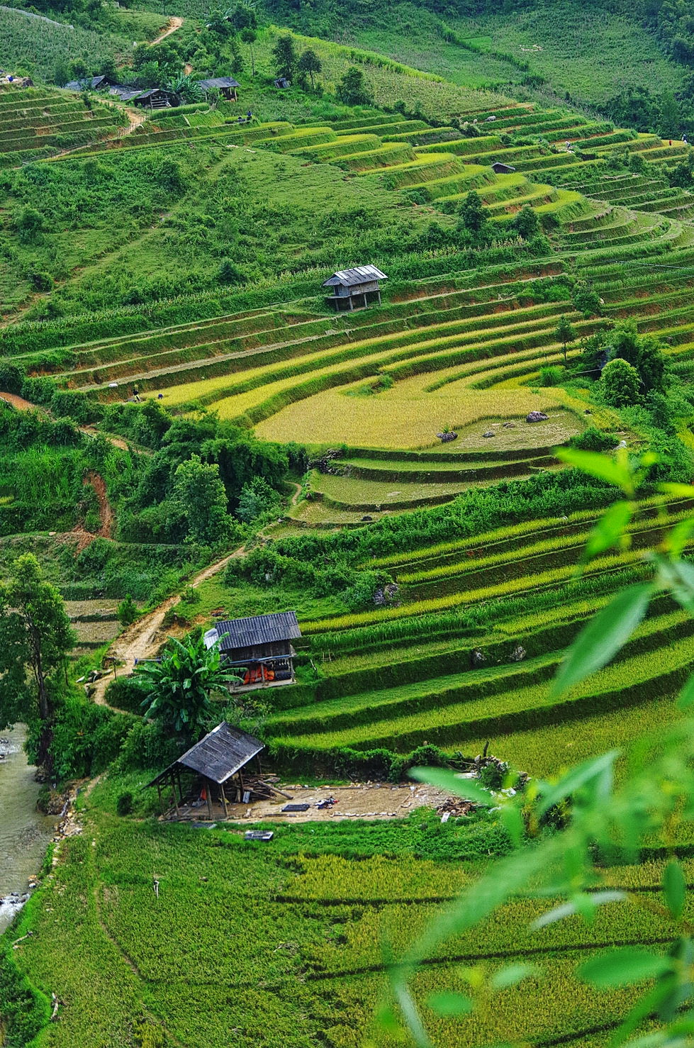 IMGP3373.JPG