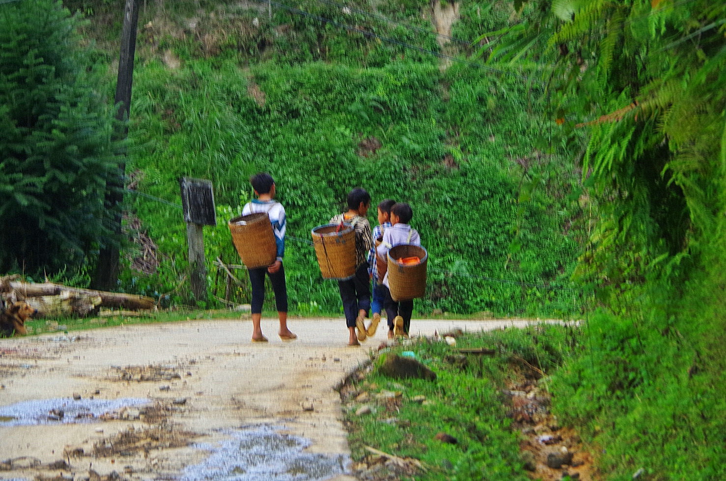IMGP3477.JPG